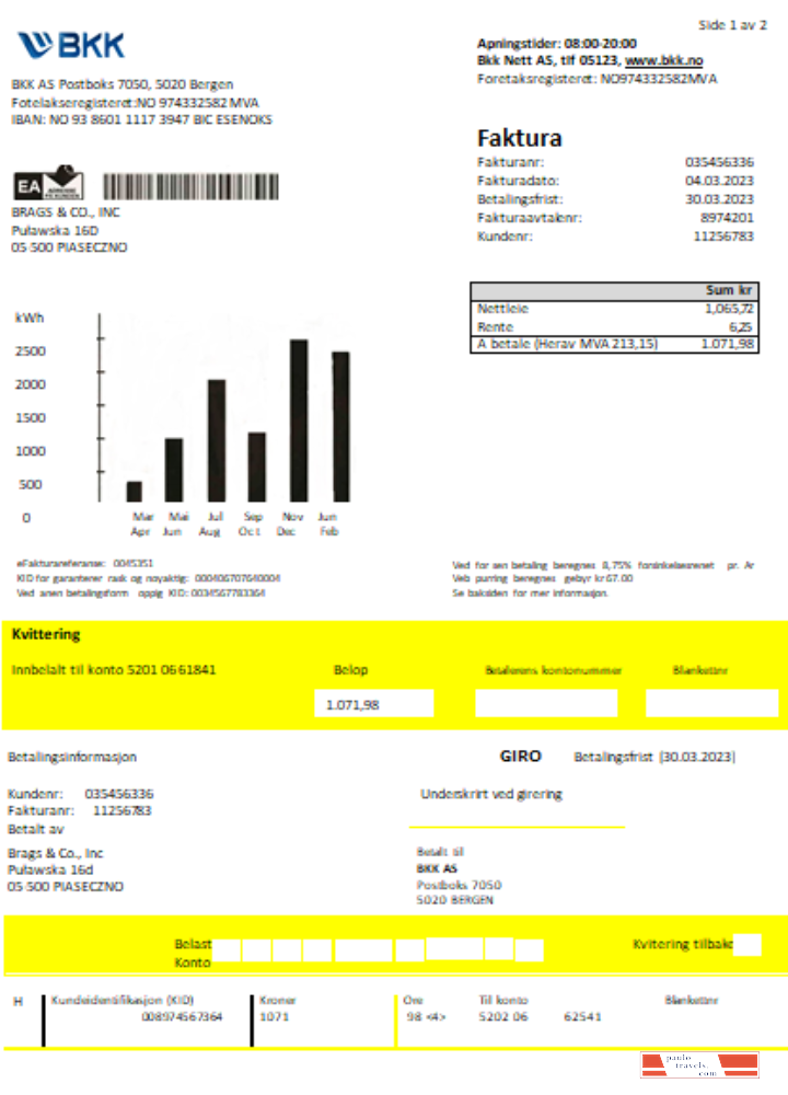 BKK electricity utility business bill SCR PSD template